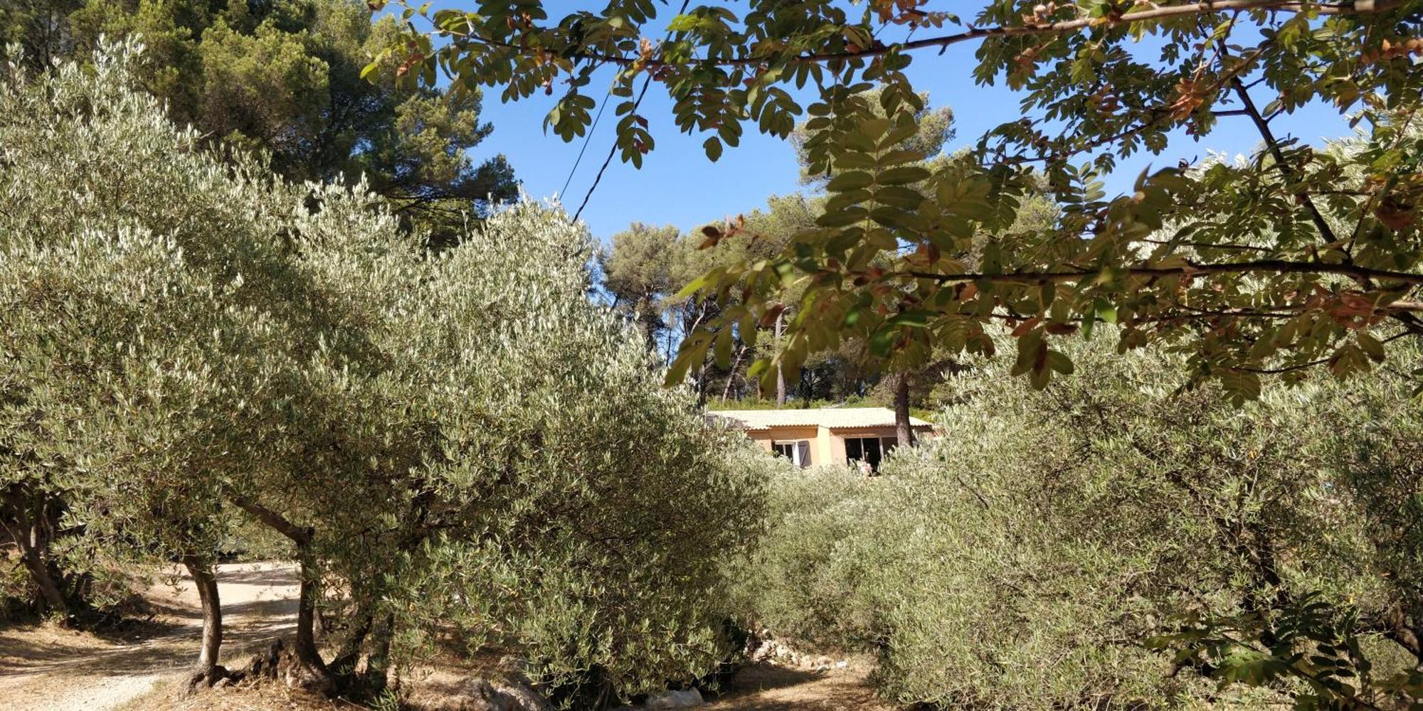 Villa Cigalons En Pleine Pinede Avec Piscine Chauffee De Mai A Septembre Auriol Eksteriør bilde