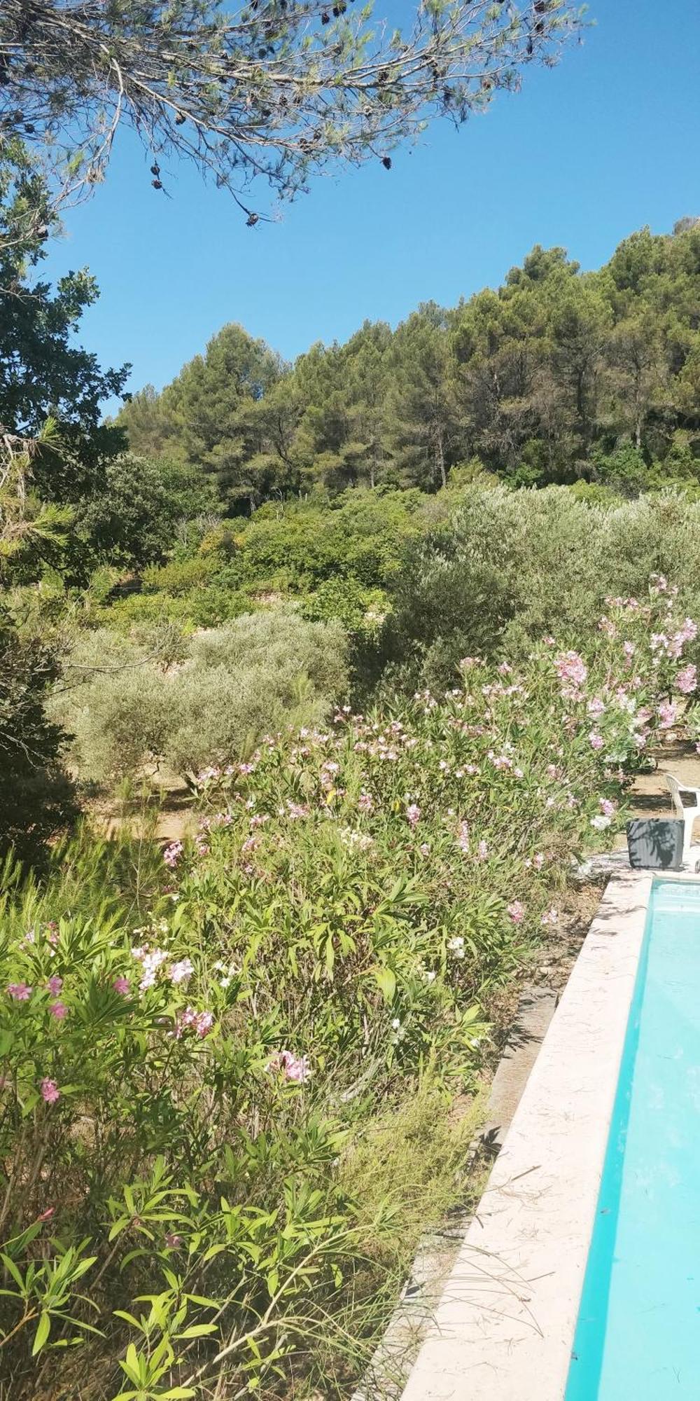 Villa Cigalons En Pleine Pinede Avec Piscine Chauffee De Mai A Septembre Auriol Eksteriør bilde