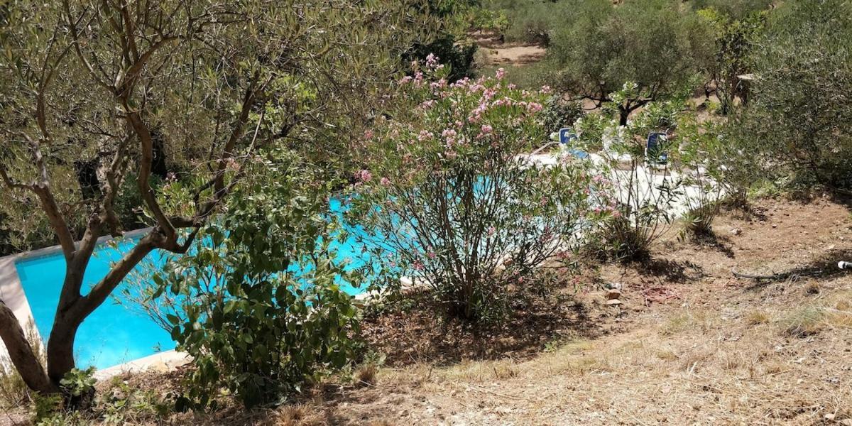 Villa Cigalons En Pleine Pinede Avec Piscine Chauffee De Mai A Septembre Auriol Eksteriør bilde